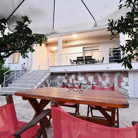 Adams 2 * PalaiónTsiflíkion