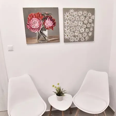 Adams 2 PalaiónTsiflíkion