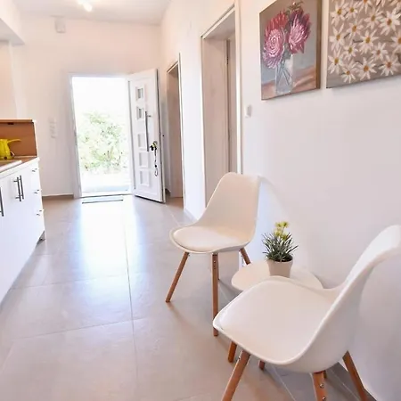 Adams 2 PalaiónTsiflíkion